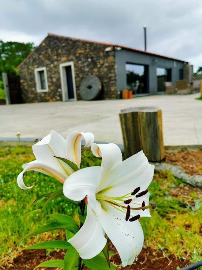 Вилла Quinta De Sao Jose Sao Pedro  Экстерьер фото