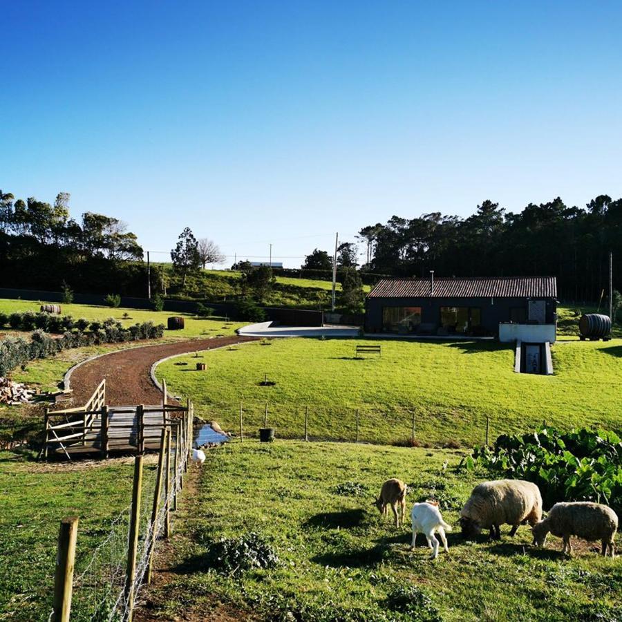 Вилла Quinta De Sao Jose Sao Pedro  Экстерьер фото
