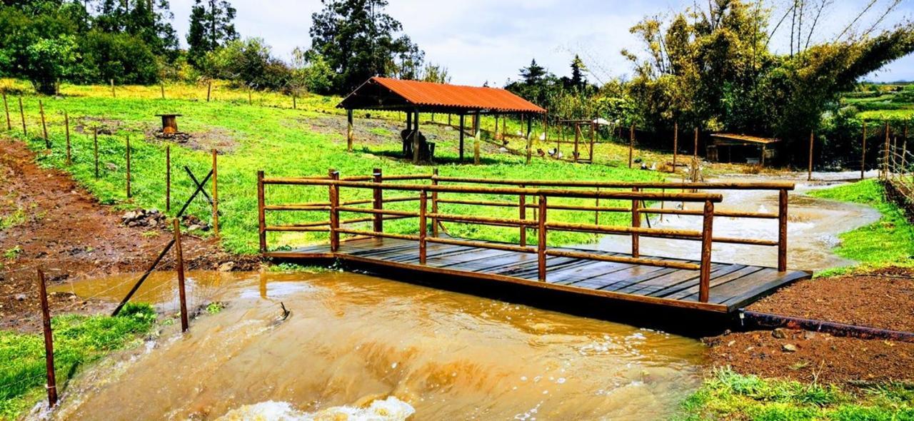 Вилла Quinta De Sao Jose Sao Pedro  Экстерьер фото