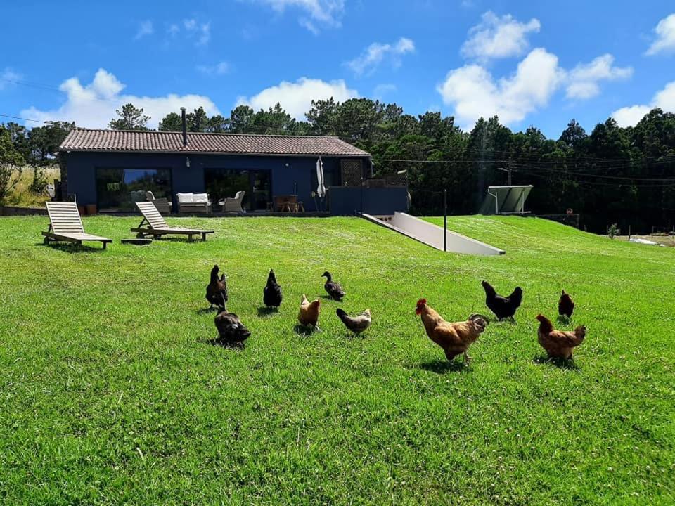 Вилла Quinta De Sao Jose Sao Pedro  Экстерьер фото