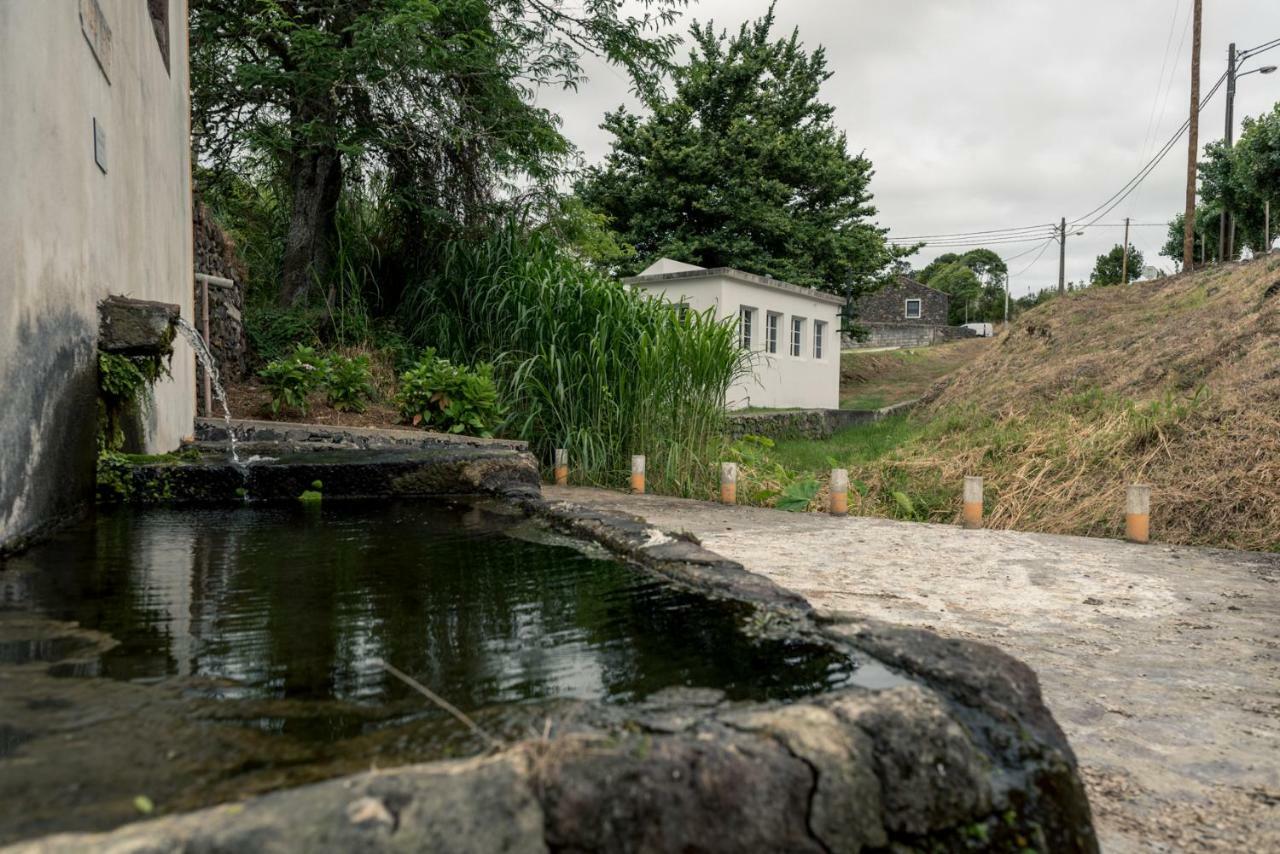 Вилла Quinta De Sao Jose Sao Pedro  Экстерьер фото